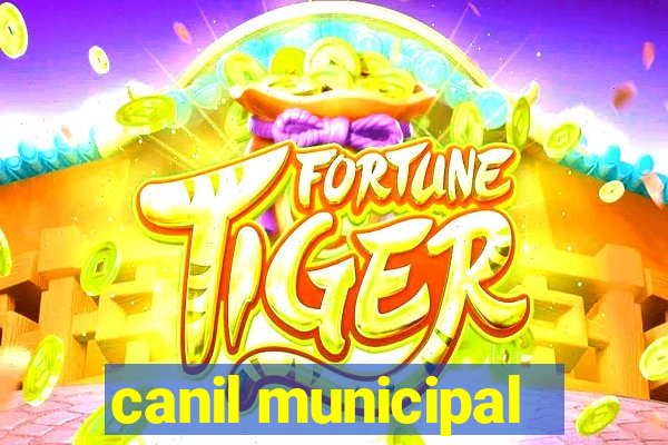 canil municipal